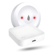 Load image into Gallery viewer, Sensore Wireless LeakLock -1 Sensore di perdita d'acqua con hub Wi-fi - Ozerty