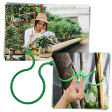 Load image into Gallery viewer, Confezione di fermi per piante da giardino - Ozerty