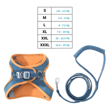 Load image into Gallery viewer, Set imbracatura e guinzaglio per animali - Ozerty