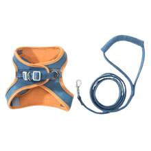 Load image into Gallery viewer, Set imbracatura e guinzaglio per animali - Ozerty