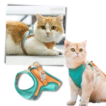 Load image into Gallery viewer, Set imbracatura e guinzaglio per animali - Ozerty