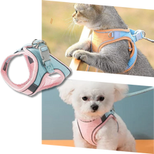 Load image into Gallery viewer, Set imbracatura e guinzaglio per animali - Ozerty