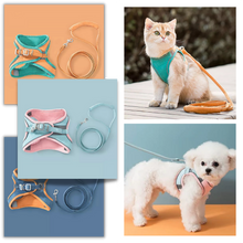 Load image into Gallery viewer, Set imbracatura e guinzaglio per animali - Ozerty