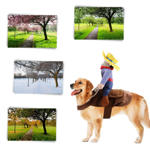 Load image into Gallery viewer, Costume da cane cowboy - Ozerty