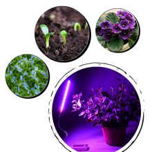 Carica l'immagine nel visualizzatore di Gallery, Luce di crescita per piante USB LED con palo flessibile - Ozerty