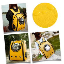 Load image into Gallery viewer, Zaino da viaggio per gatti - Ozerty