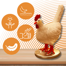 Load image into Gallery viewer, Lampada accogliente a forma di uovo di gallina - Ozerty