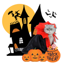 Load image into Gallery viewer, Costume di Halloween per animali domestici da Dracula - Ozerty