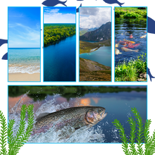Load image into Gallery viewer, Calendario dell'Avvento della Pesca - Ozerty
