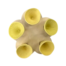 Load image into Gallery viewer, Coppa per api discreta, Attraente e Colorata -Giallo - Ozerty
