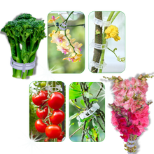 Load image into Gallery viewer, Supporto per piante facile da agganciare - Ozerty