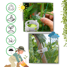 Load image into Gallery viewer, Supporto per piante facile da agganciare - Ozerty