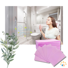 Load image into Gallery viewer, Salviette Igienizzanti Biodegradabili per WC - Ozerty