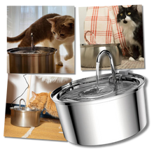 Load image into Gallery viewer, Fontana per gatti di grande capacità - Ozerty
