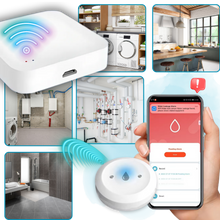 Load image into Gallery viewer, Sensore Wireless LeakLock - Ozerty