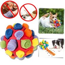 Load image into Gallery viewer, Stimolatore mentale Palla da Fiuto - Ozerty