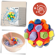 Load image into Gallery viewer, Stimolatore mentale Palla da Fiuto - Ozerty