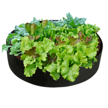 Load image into Gallery viewer, Sacchetti traspiranti multiuso per la semina -60x20 cm70x30 cm80x30 cm90x30 cm127x30 cm - Ozerty