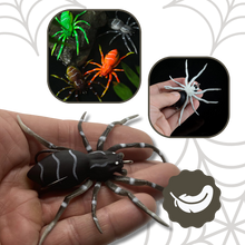 Load image into Gallery viewer, Esche ragno a movimento naturale - Ozerty