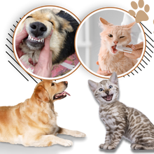 Load image into Gallery viewer, Gel Orale per Animali Domestici - Ozerty