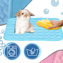 Load image into Gallery viewer, Cuscinetto di raffreddamento per animali domestici in seta - Ozerty