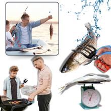 Load image into Gallery viewer, Strumento di presa per pesci antiscivolo - Ozerty