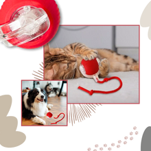 Carica l'immagine nel visualizzatore di Gallery, Palla interattiva intelligente per gatti - Ozerty