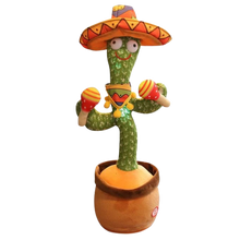 Load image into Gallery viewer, Pappagallo cactus parlante