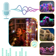 Carica l&#39;immagine nel visualizzatore di Gallery, 210 Luci LED con Sincronizzazione Musicale - Ozerty
