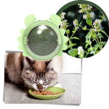 Load image into Gallery viewer, Giocattolo rotante a forma di palla di menta per gatti - Ozerty
