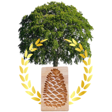 Load image into Gallery viewer, Stampo tagliabiscotti in legno - Ozerty
