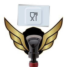 Load image into Gallery viewer, Decanter e sigillo per vino 2 in 1 - Ozerty
