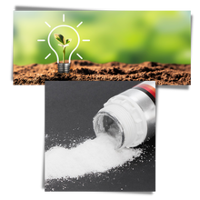 Load image into Gallery viewer, Attraente esca per pesci
