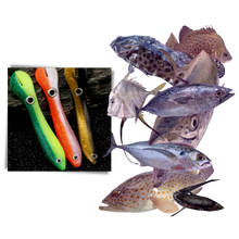 Load image into Gallery viewer, Set di esche da pesca artificiali
