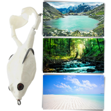 Load image into Gallery viewer, Esca da pesca a rana in silicone
