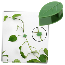 Load image into Gallery viewer, Confezione da 20 clip adesive a forma di foglia per piante rampicanti - Ozerty
