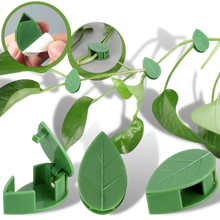 Load image into Gallery viewer, Confezione da 20 clip adesive a forma di foglia per piante rampicanti - Ozerty

