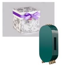 Load image into Gallery viewer, Espositore per gioielli - Ozerty
