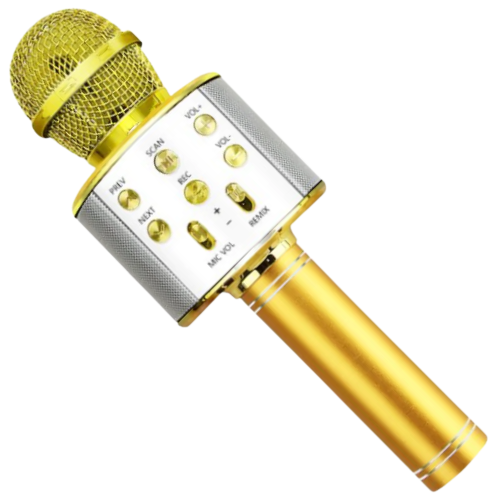 Microfono karaoke bluetooth senza fili