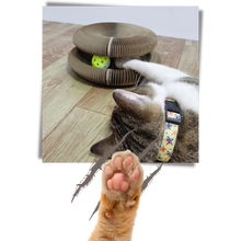 Carica l&#39;immagine nel visualizzatore di Gallery, Tiragraffi per gatti - Ozerty
