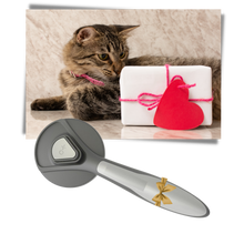 Load image into Gallery viewer, Spazzola speciale per animali domestici - Ozerty
