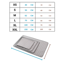 Load image into Gallery viewer, Tappetino di raffreddamento per animali domestici - Ozerty
