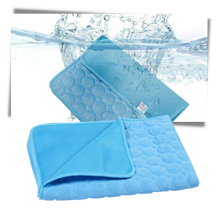 Load image into Gallery viewer, Tappetino di raffreddamento per animali domestici - Ozerty
