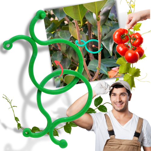 Confezione di fermi per piante da giardino - Ozerty