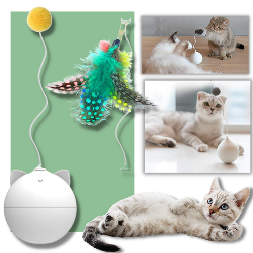 Palla giocattolo per gatti con funzione di rollio automatico - Ozerty