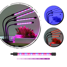 Carica l&#39;immagine nel visualizzatore di Gallery, Luce da coltivazione interna a 4 teste LED USB - Ozerty
