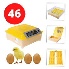 Load image into Gallery viewer, Incubatrice automatica da 48 uova - Ozayti
