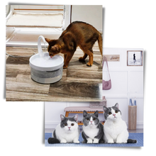 Load image into Gallery viewer, Fontana d&#39;acqua automatica per gatto con luce LED - Ozerty
