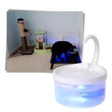 Load image into Gallery viewer, Fontana d&#39;acqua automatica per gatto con luce LED - Ozerty
