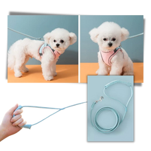 Load image into Gallery viewer, Set imbracatura e guinzaglio per animali
